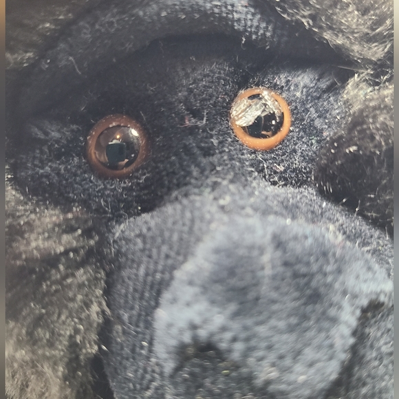 GANZ Webkinz Signature Western Lowland Gorilla - No Code- Read Description - Picture 4 of 4